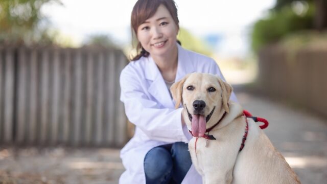 犬の尿毒症（末期）