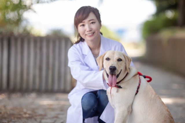 犬の尿毒症（末期）