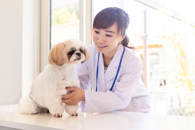 犬の腎炎・フィラリア症に伴う腎障害
